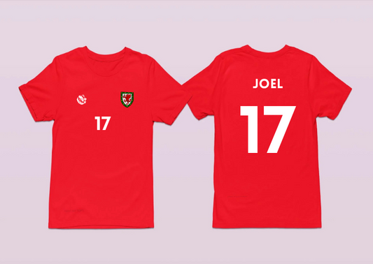 Lois Joel Wales/Cymru Women Euro 2025 T-Shirt