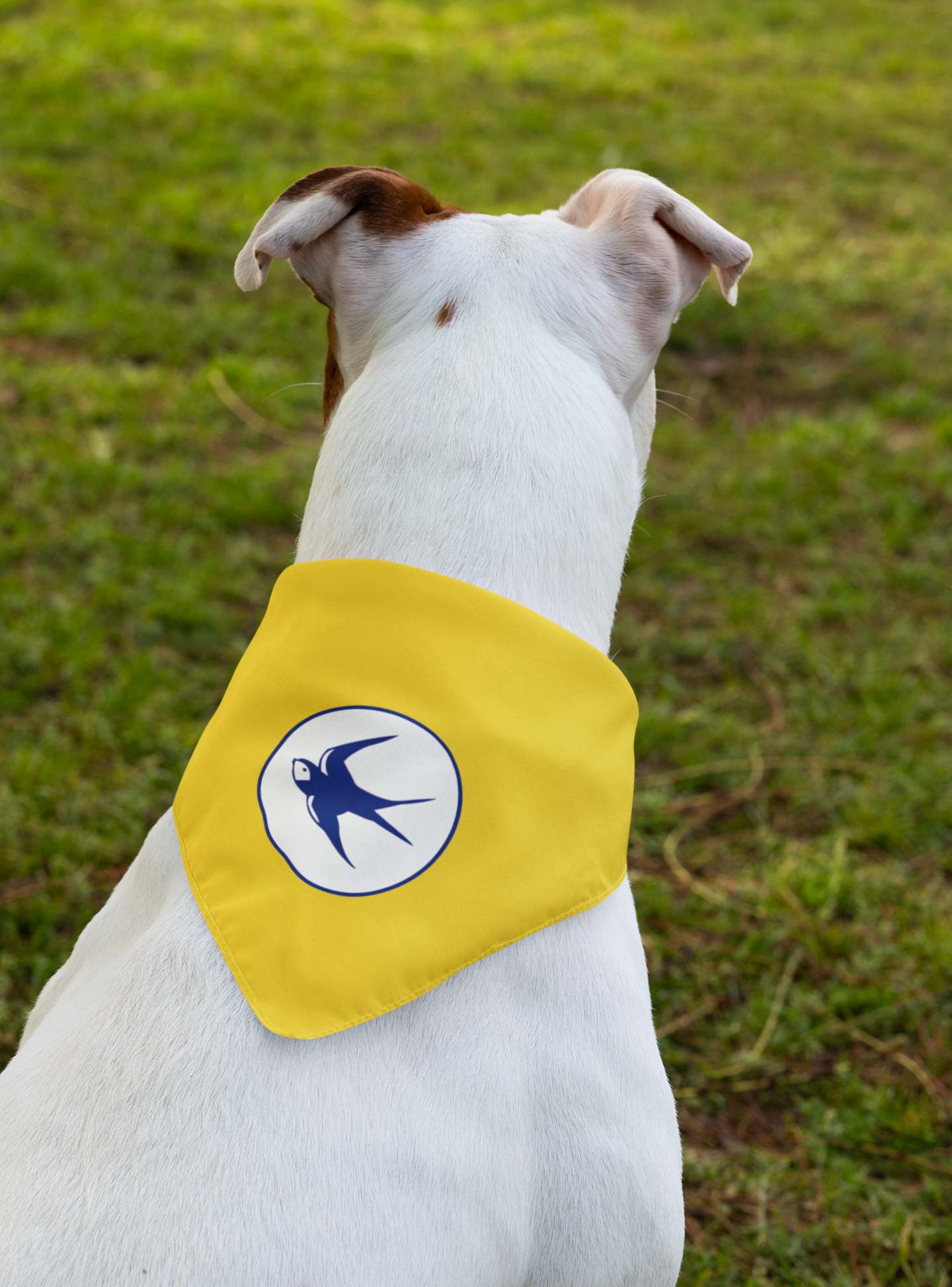 Cardiff City Pet Bandana