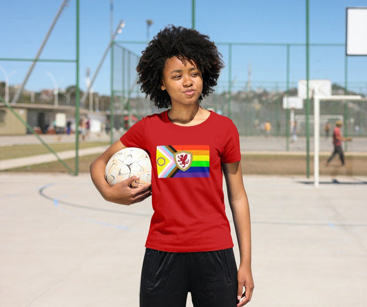 Wales Pride T-Shirt/Sweatshirt/Hoodie