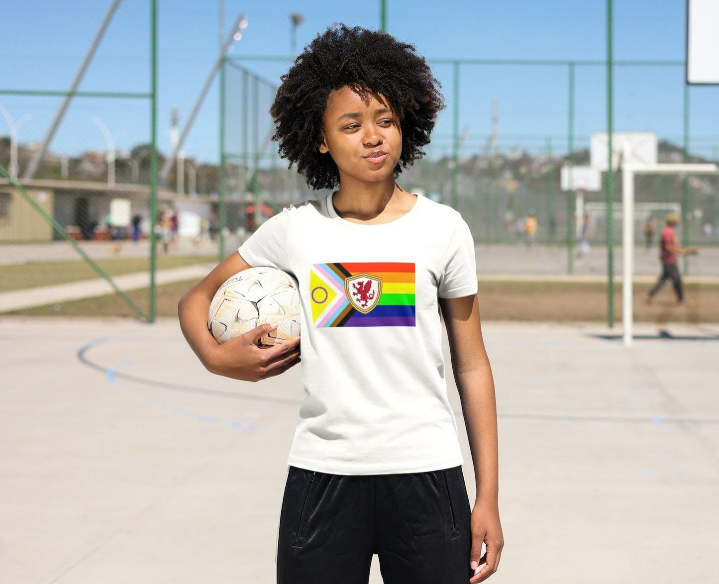 Wales Pride T-Shirt/Sweatshirt/Hoodie