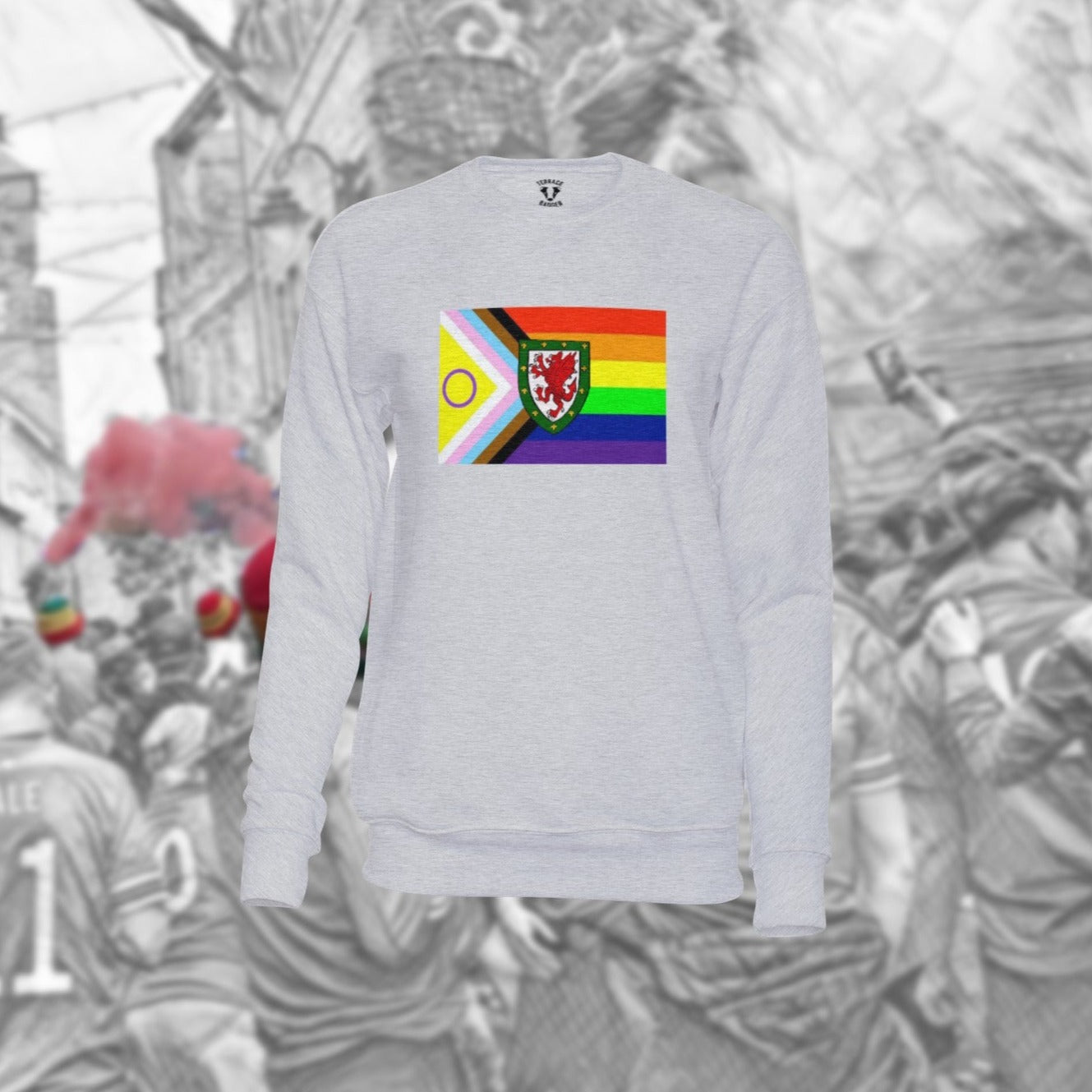 Wales Pride T-Shirt/Sweatshirt/Hoodie