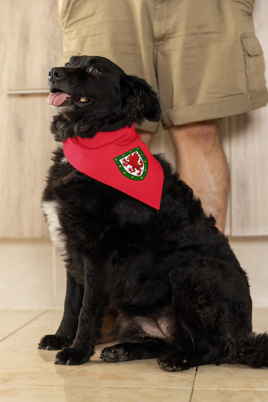 Cymru/Wales Pet Bandana
