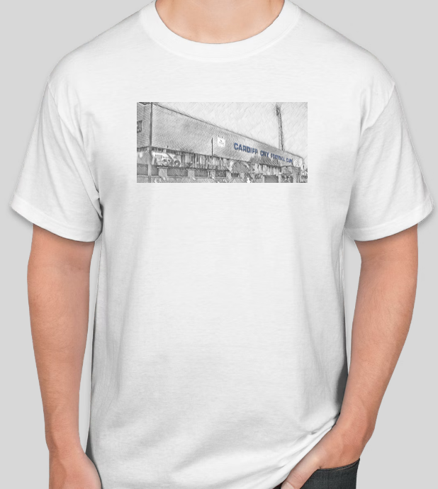 Cardiff City Stadiums T-Shirt