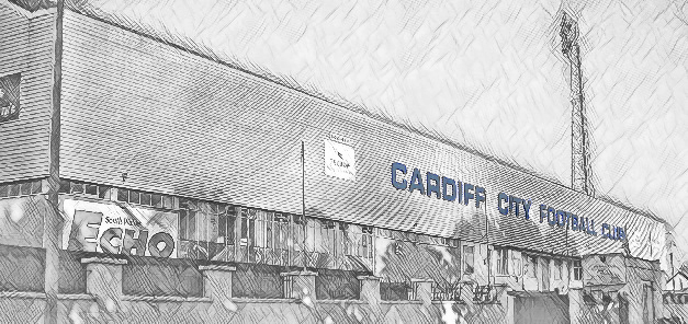 Cardiff City Accessories