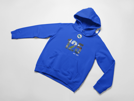 Cardiff City 125 Year Stadium's Hoodie