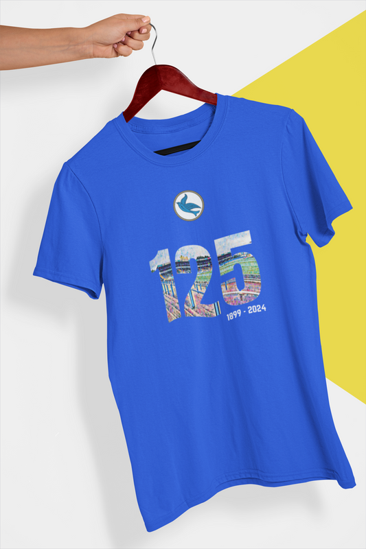 Cardiff City 125 Year Stadium's T-shirt