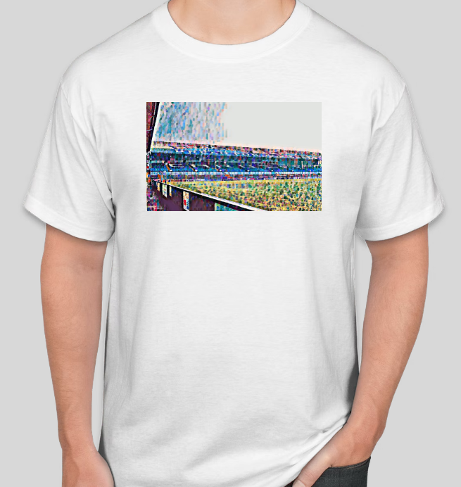 Cardiff City Stadiums T-Shirt