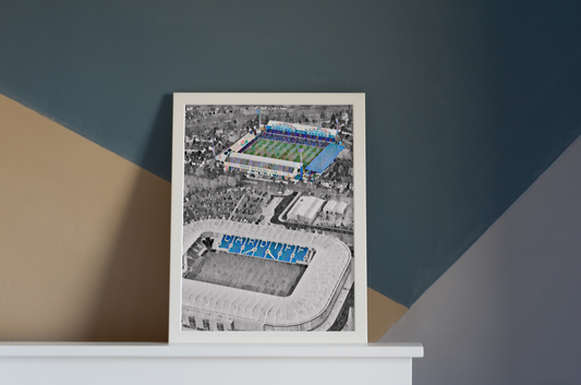 Cardiff City Ninian Park Stadium Painted Print