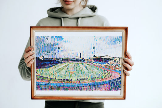 Bristol Rovers Eastville Painting Print