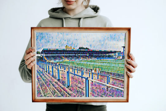 Cardiff City Grange End Painting Print