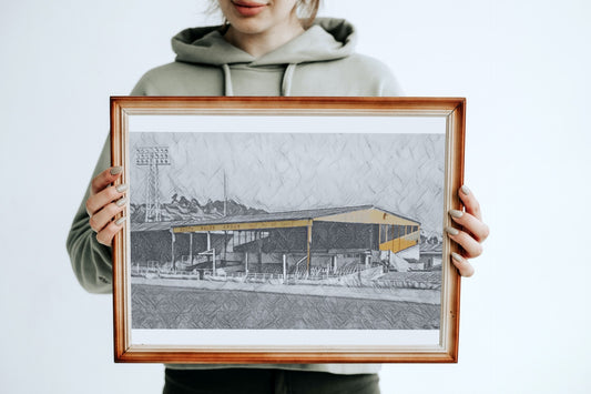 Newport County Somerton Park Sketch Print